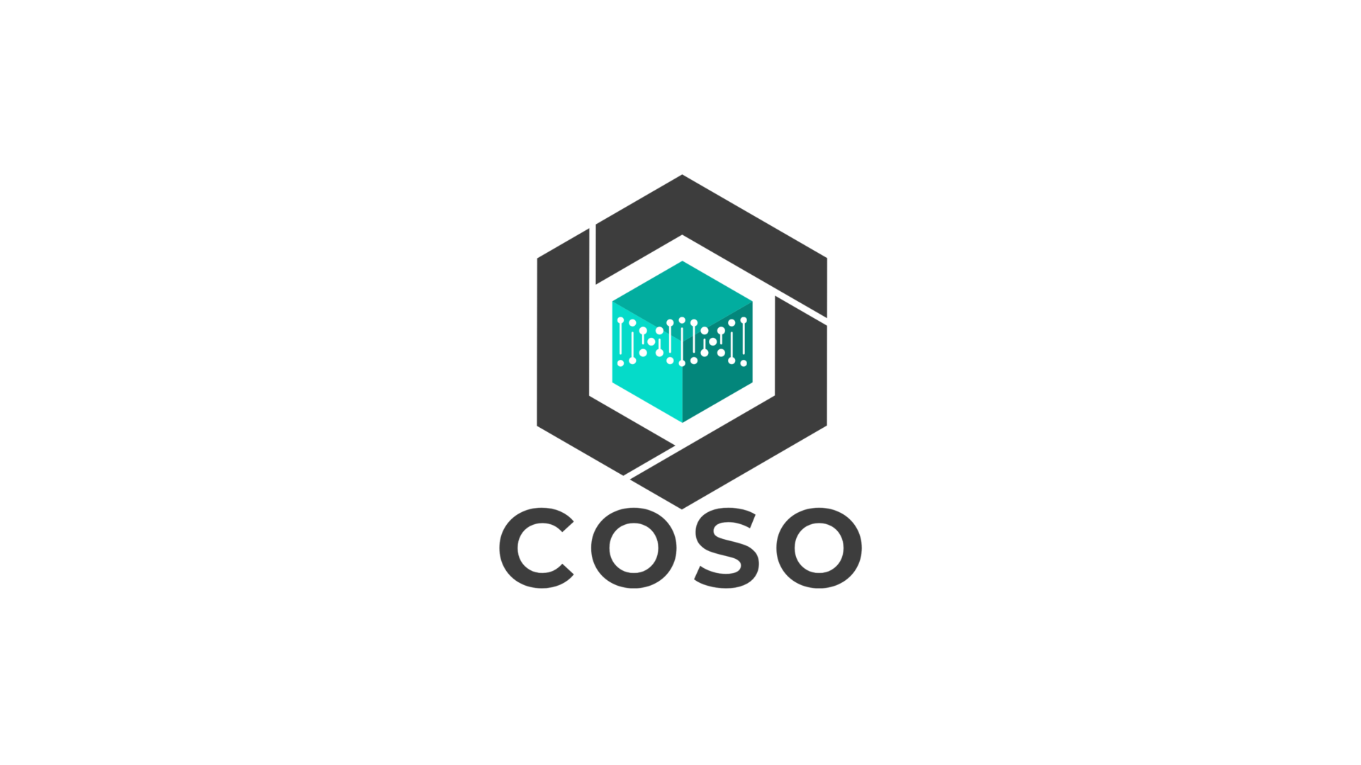 COSO Internal Control