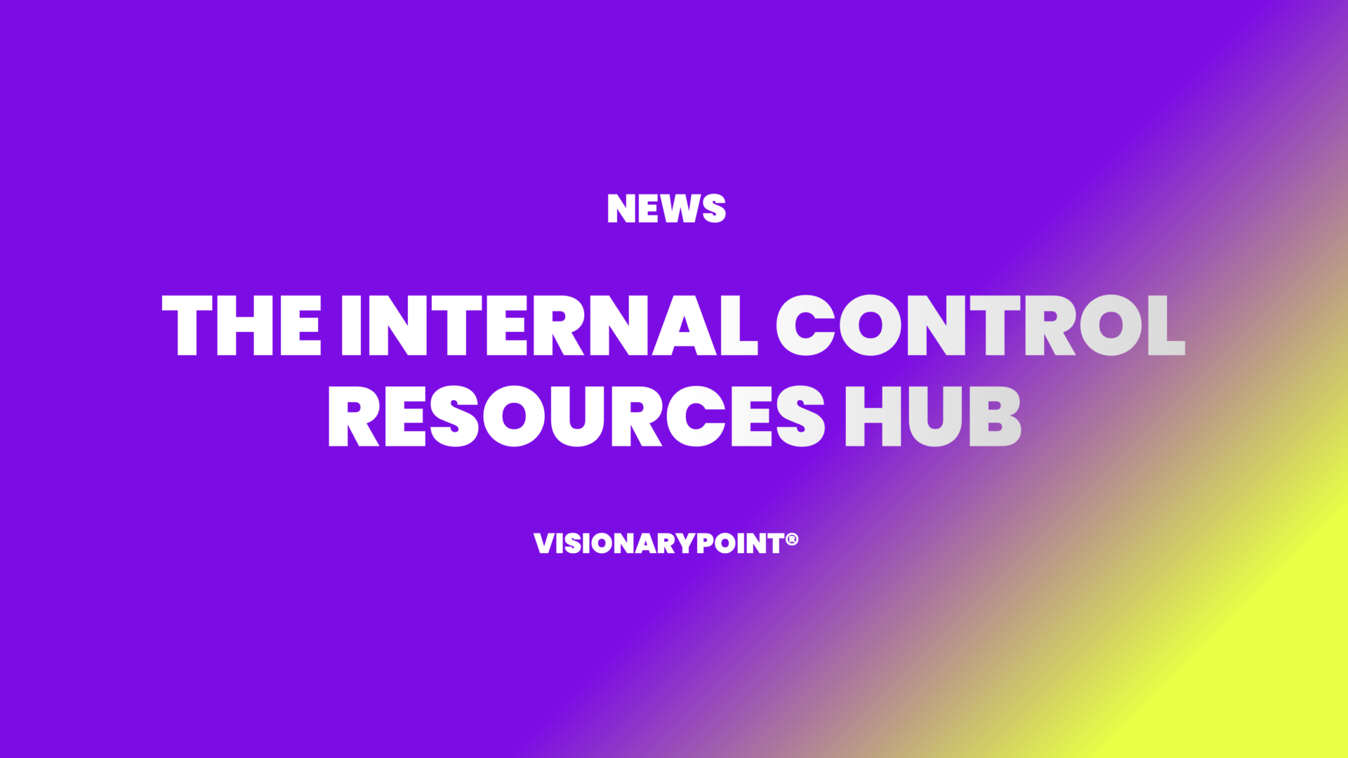 VisionaryPoint THE INTERNAL CONTROL RESOURCES HUB